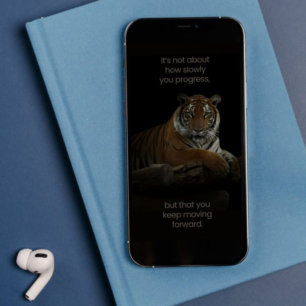 Motivational Canva wallpaper featuring a calm tiger on a log with the quote "Keep moving forward," perfect for mobile and digital screens.